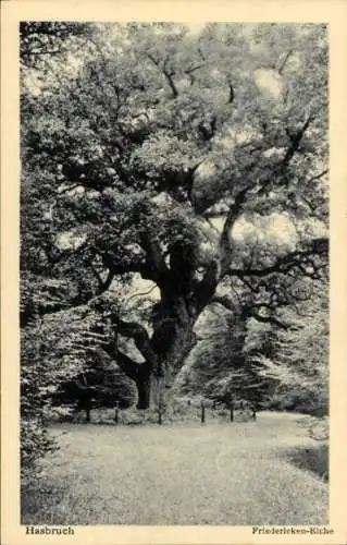 Ak Hude bei Oldenburg, Urwald Hasbruch, Friederiken-Eiche