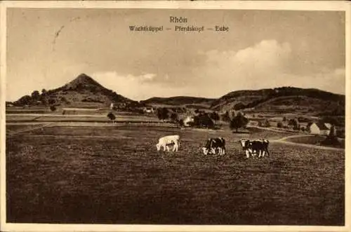 Ak Maiersbach Gersfeld in der Rhön Hessen, Wachtküppel, Wasserkuppe