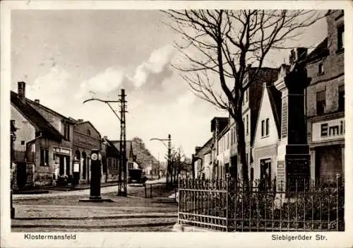 Ak Klostermansfeld in Sachsen Anhalt, Stadtansicht, Siebigeröder Str., r Stil, Bauwerke, Monument