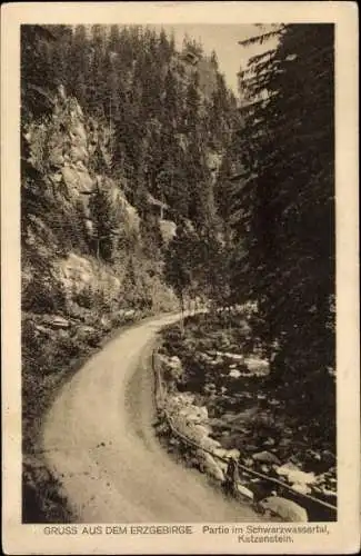 Ak Pobershau Marienberg Erzgebirge, Katzenstein im Schwarzwassertal