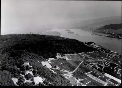 Ak Nieder Ingelheim am Rhein, Blick auf den Rhein bei Nieder-Ingelheim