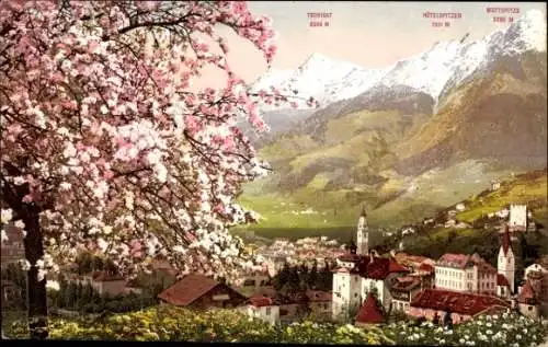 Ak Meran Merano Südtirol, Gesamtansicht, Baumblüte