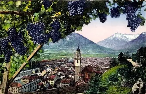 Ak Meran Merano Südtirol, Aussicht über  Trauben, Berge, Tappeinerweg, Herbst