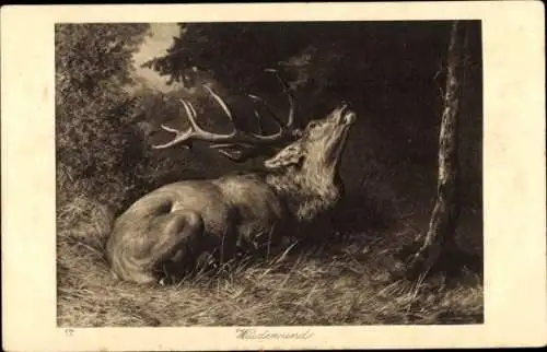 Künstler Ak Hirsch, Waidwund