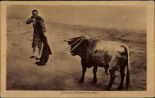 Ak Stierkampf, Perfilado para entrar a matar