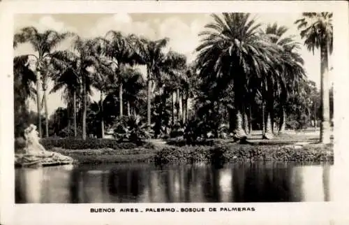Ak Buenos Aires Argentinien, Parkanlage mit Palmen, Wasserfläche, Statue