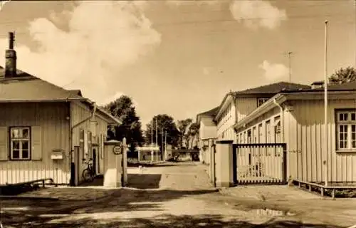 Ak Wiek auf Rügen,  mit Holzhaus, Straße, Picknickplatz, Bäume