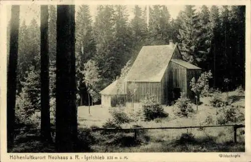 Ak Neuhaus am Rennweg Thüringen, Hölzerne Gebäude, Wald, Höhenluftkurort, 835 m