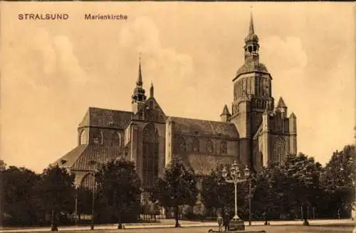 Ak Stralsund in Vorpommern, Marienkirche,  Architektur, Bäume im Vordergrund