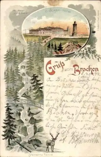 Litho Brocken Nationalpark Harz, Brockenhotel, Steinerne Renne, Hirsch