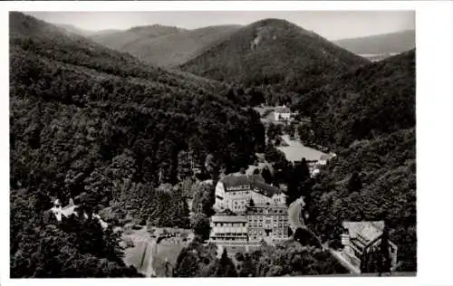 Ak Bad Bergzabern an der Weinstraße Pfalz, Luftkurort,  Weinstraße, Kurhotel, Waldlandschaft