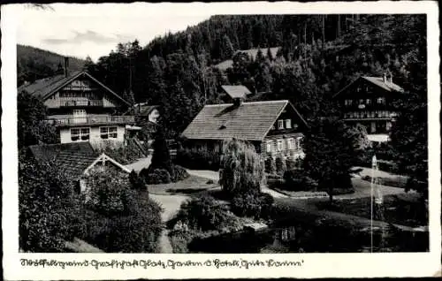 Ak Międzygórze Wölfelsgrund Schlesien, Hotel Gute Laune, Garten