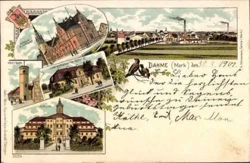 Litho Dahme in der Mark, Schloss, Landwirtschaftsschule, Turm, Rathaus, Postamt, Wappen