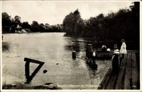Ak Templin in der Uckermark, Mühlenteich, Steg, Kinder
