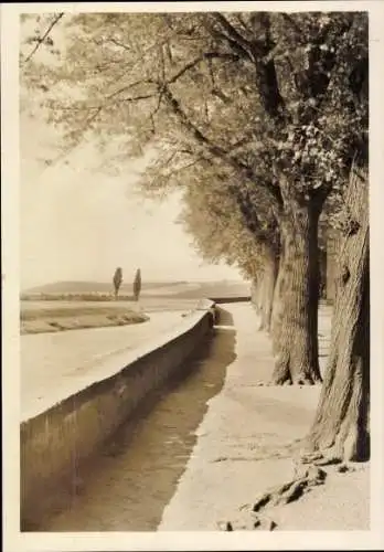 Ak Hameln an der Weser Niedersachsen, Weserpromenade