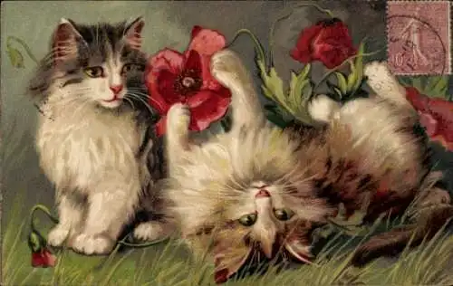 Künstler Ak Zwei Katzen, Klatschmohn
