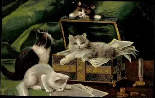 Künstler Ak Vier Katzen, Schatulle