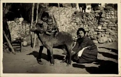 Foto Ak Frau melkt ein Schaf, Kinder