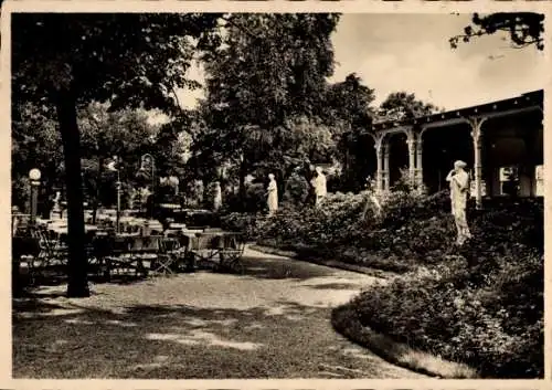 Ak Zwickau in Sachsen, Park Zwickaus Neue Welt