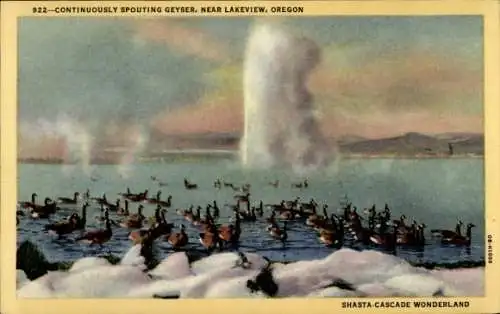 Ak Oregon USA, Dauerhafter Geysir in der Nähe von Lakeview, Enten auf See