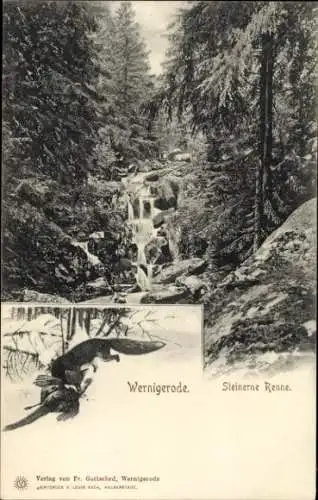 Ak Hasserode Wernigerode am Harz, Steinerne Renne
