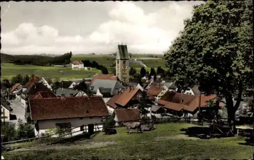 Ak Obergünzburg im Allgäu, Blick auf  landwirtschaftliches Umfeld, Kirche, Kühe