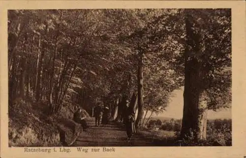 Ak Ratzeburg im Herzogtum Lauenburg, Waldweg, Spaziergänger, Bäume, Natur, Schatten