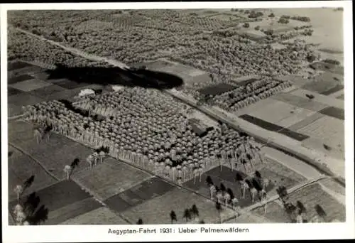 Sammelbild Zeppelin Weltfahrten Nr. 221 Ägypten-Fahrt 1931, Über Palmenwäldern, Schiffsschatten