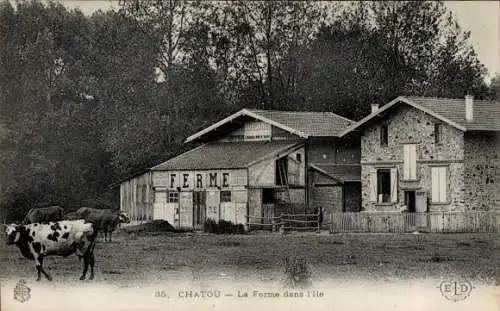 Ak Chatou Croissy Yvelines, Gebäude namens 'FERME', Kühe, ländliche Umgebung,  