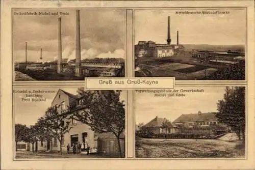 Ak Großkayna Braunsbedra Saalekreis, Brikettfabrik, Stickstoffwerke, Kolonialwarenhandlung