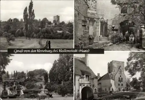 Ak Ballenstedt im Harz, Roseburg, Kultur- und Erholungszentrum, Park