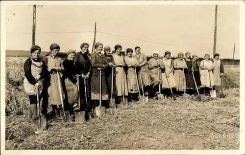 Foto Ak Feldarbeiterin, Frauen, Gruppenbild