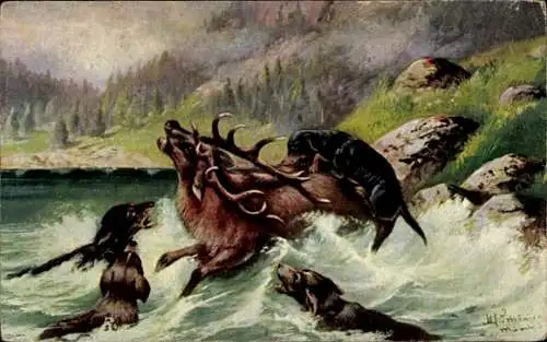 Künstler Ak Schönian, Alfred, Jagdhunde erlegen einen Hirsch