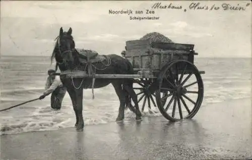 Ak Noordwijk aan Zee Südholland, Schlepenvisscher, Muschelfischer, Pferdekarren
