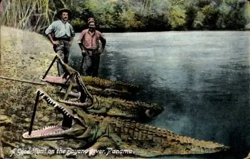 Ak Panama, A good Hunt on the Bayano River, Krokodile, gefangene Krokodile
