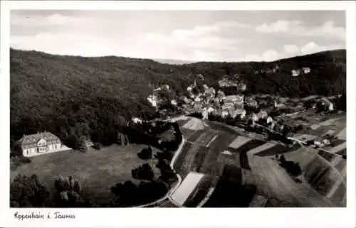 Ak Eppenhain Kelkheim im Taunus, Haus Rossert, Fliegeraufnahme