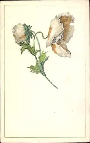 Jugendstil Ak Frauenbildnis in einer Blüte