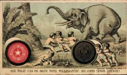 Ak Reklame Willimantic Six Cord Spool Cotton, Faden für Nähmaschinen, festgebundener Elefant