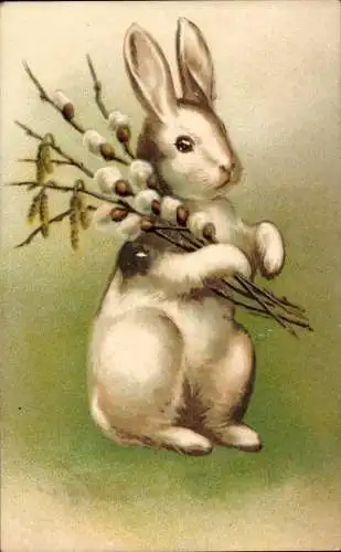 Ak Frohe Ostern, Osterhase mit Weidenkätzchen