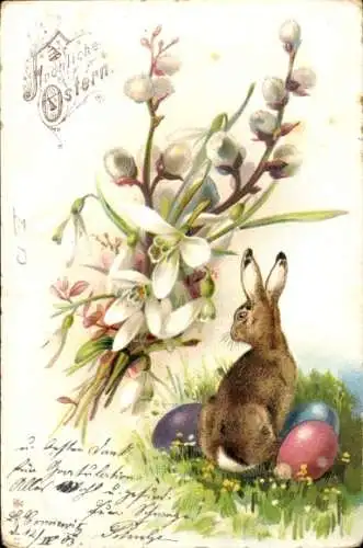 Ak Fröhliche Ostern, Osterhase und Weidenkätzchen