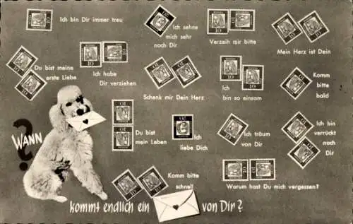 Ak Briefmarkensprache, Pudel, Wann kommt endlich ein Brief von dir?