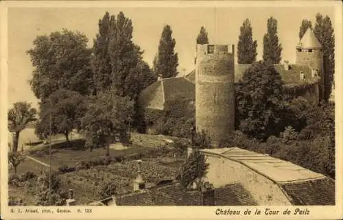 Ak La Tour de Peilz Kanton Waadt, Château
