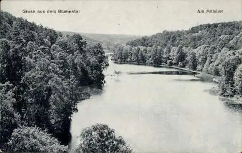 Ak Tiefensee Werneuchen in der Mark, Blumental Am Mittelsee