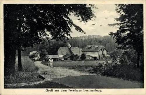 Ak Ohorn in Sachsen, Forsthaus Luchsenburg