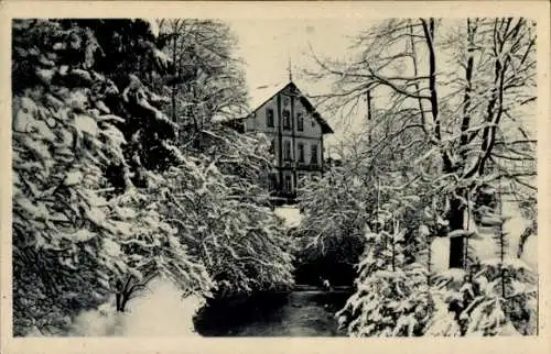 Ak Dresden Langebrück, Dresdner Heide, Heidemühle, Haidemühle, Winter