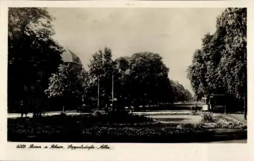 Ak Poppelsdorf Bonn am Rhein, Poppelsdorfer Allee, parkähnliche Landschaft,  Gebäude