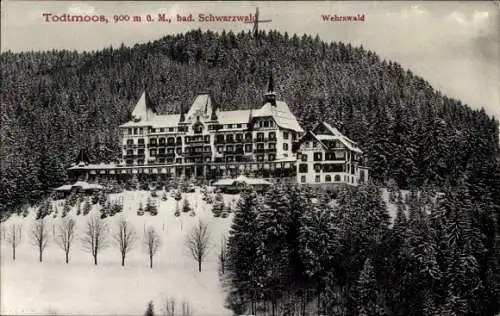 Ak Todtmoos im Schwarzwald, Wehrawald