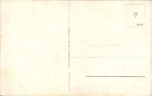 Ak Füssen im Ostallgäu, Berglandschaft, Alp See, Neuschwanstein, Hohenschwangau, Füssen