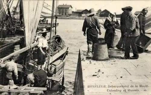 Ak Honfleur Calvados, Hafenansicht, Muschellieferung, Segelboote, Arbeiter
