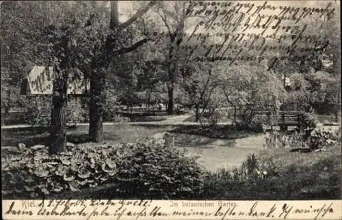 Ak Kiel, Botanischer Garten, Bäume, Gartenanlage, Brücke